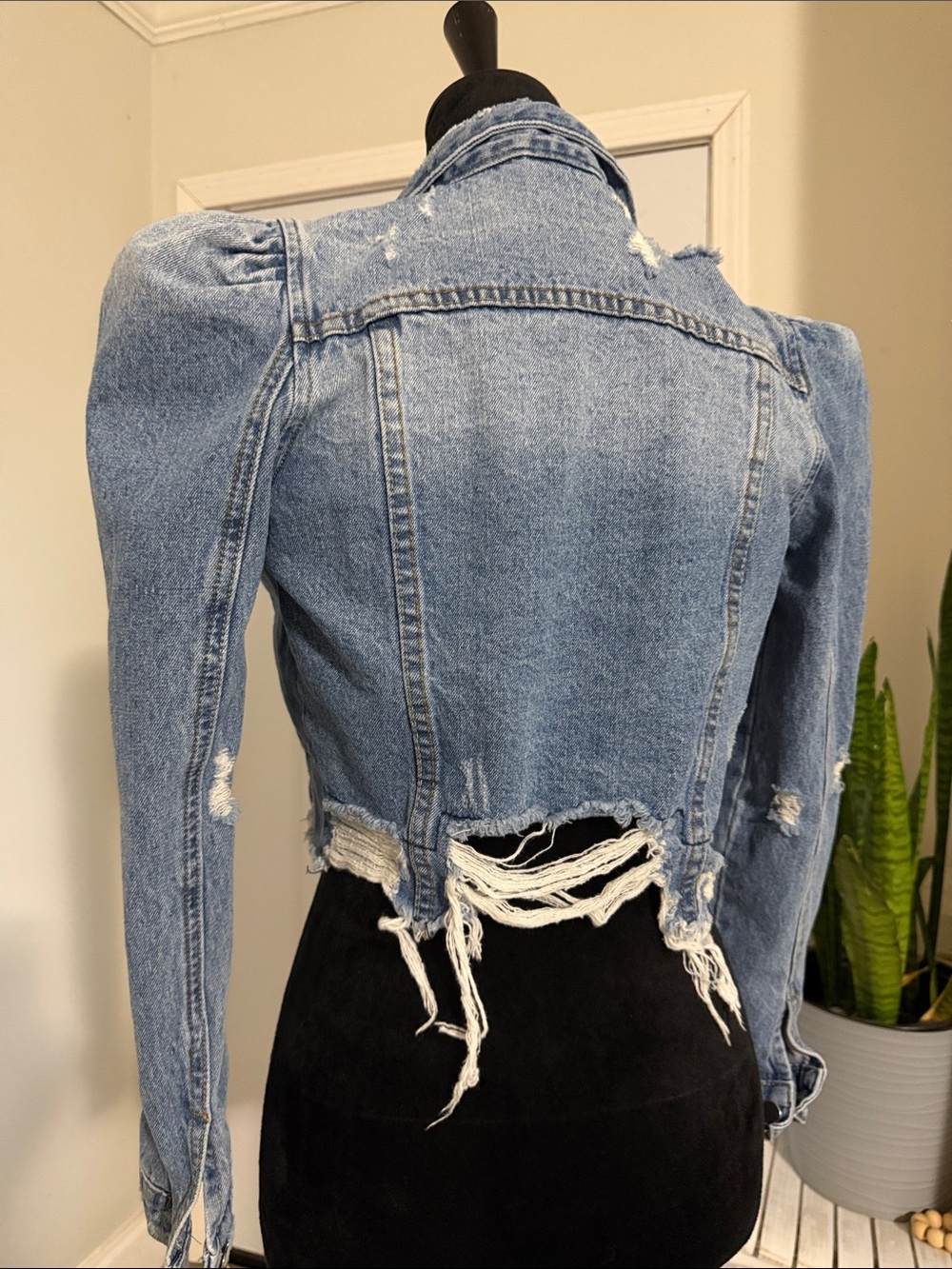 Distressed Light Blue Cropped Denim Jacket - Women's Jean Jacket - Picture 3 of 3